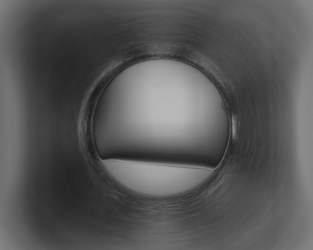 X0000101230723200806270945