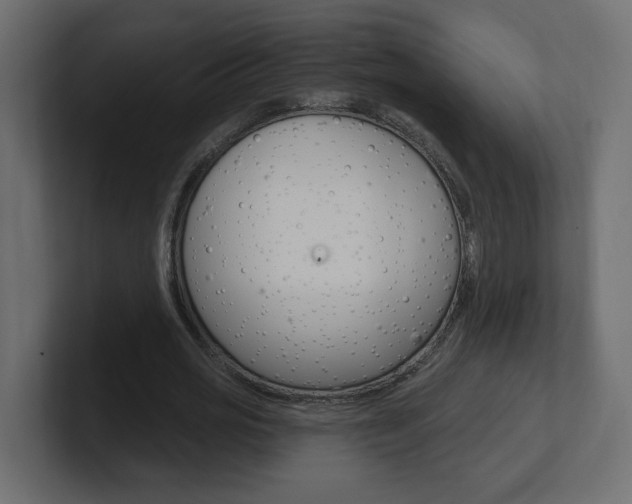 X0000101230725200806270945