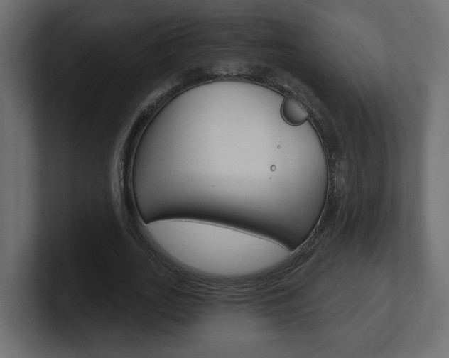 X0000101230727200806270945