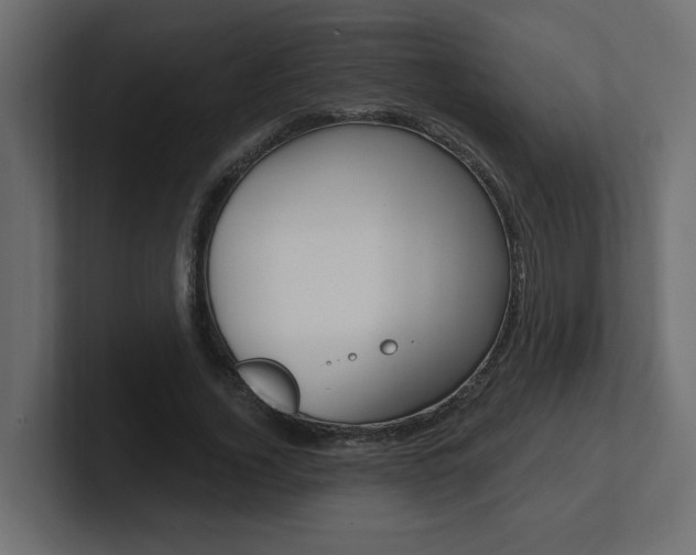 X0000101230732200806270945
