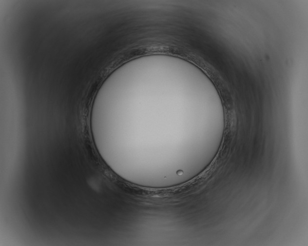 X0000101230737200806270945
