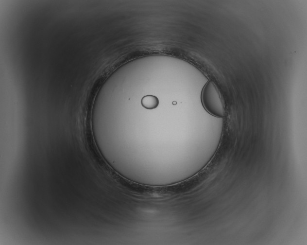 X0000101230739200806270945