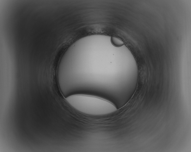 X0000101230747200806270945