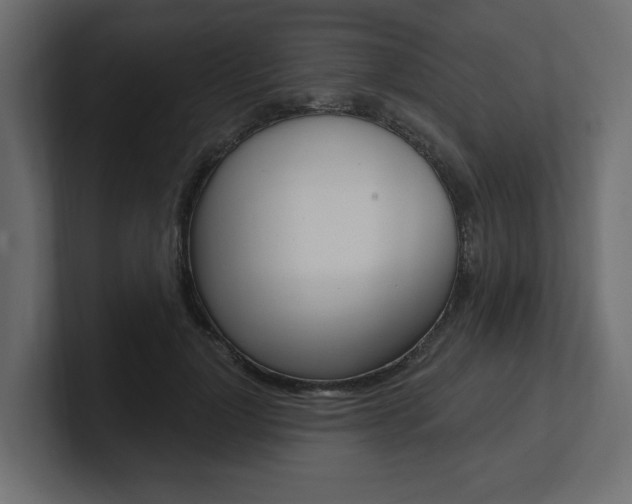 X0000101230748200806270945