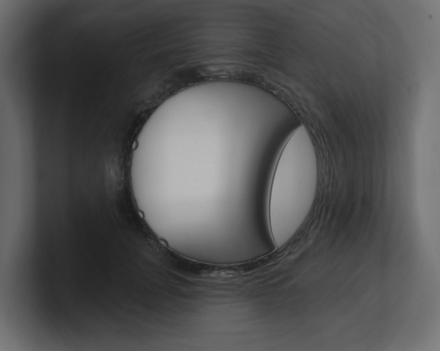 X0000101230751200806270945