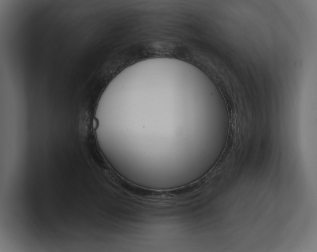 X0000101230752200806270945