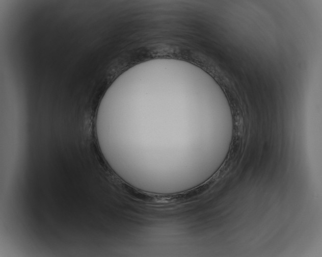 X0000101230753200806270945