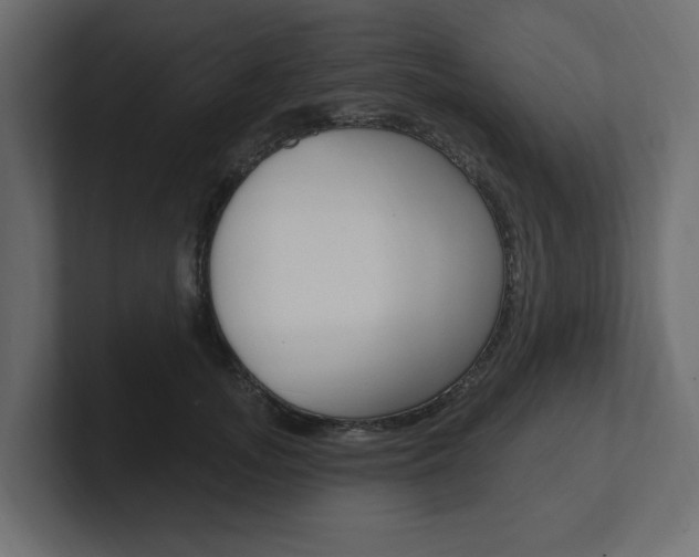 X0000101230755200806270945