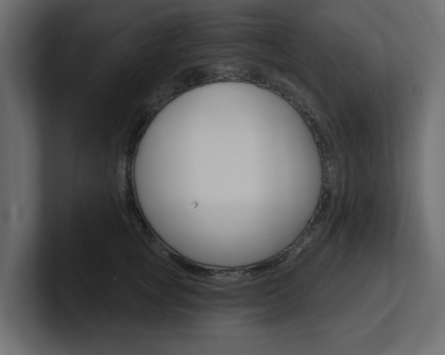 X0000101230757200806270945