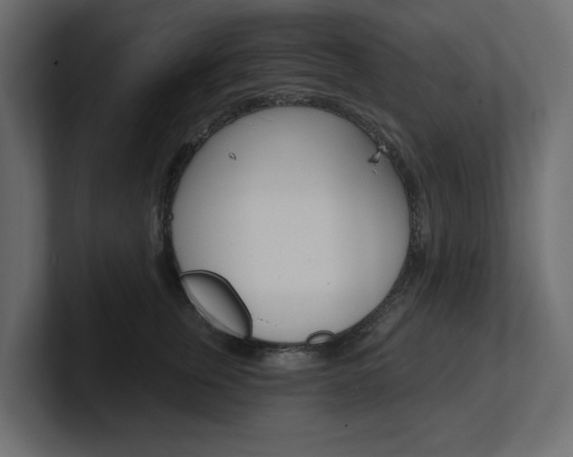 X0000101230759200806270945