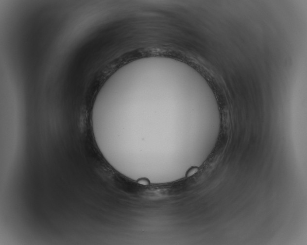 X0000101230760200806270945