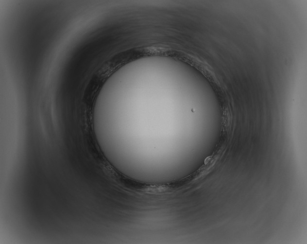 X0000101230762200806270945