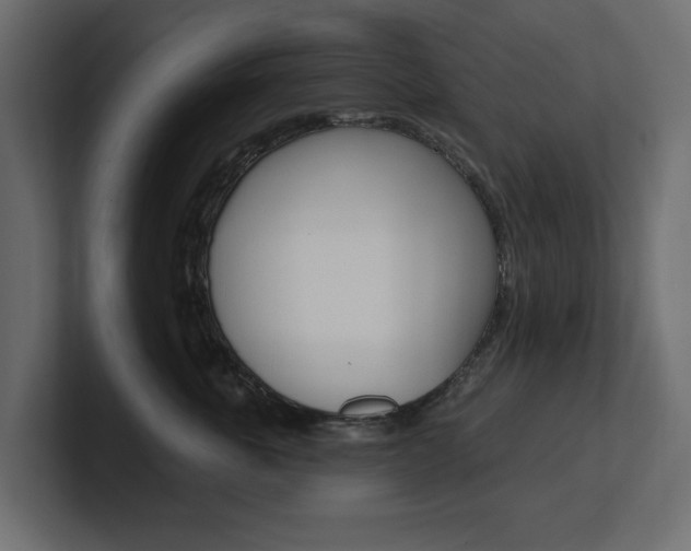 X0000101230763200806270945