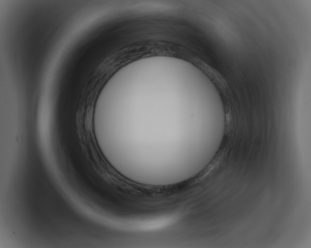 X0000101230765200806270945