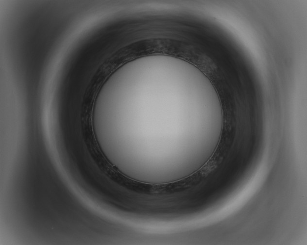 X0000101230766200806270945