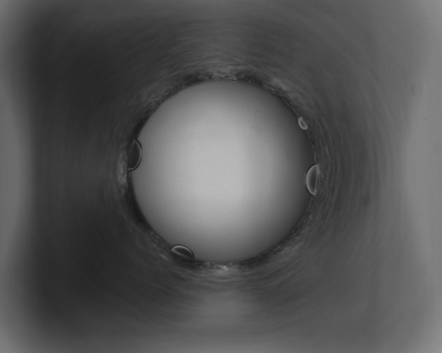 X0000101230768200806270945