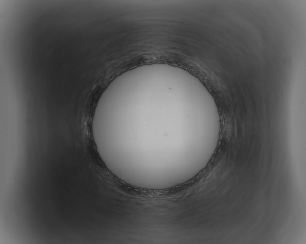 X0000101230770200806270945