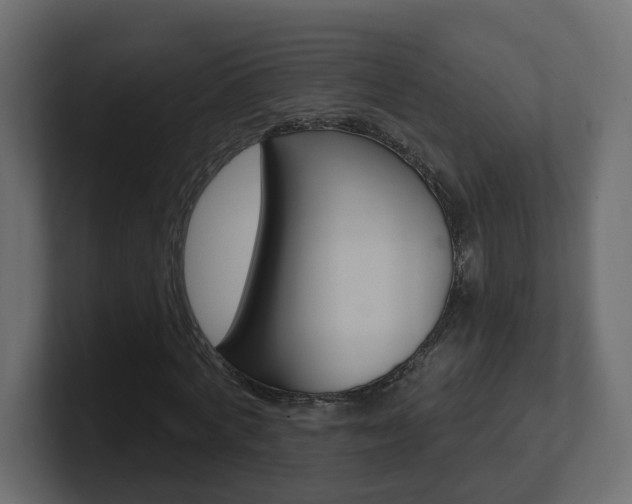 X0000101230772200806270945