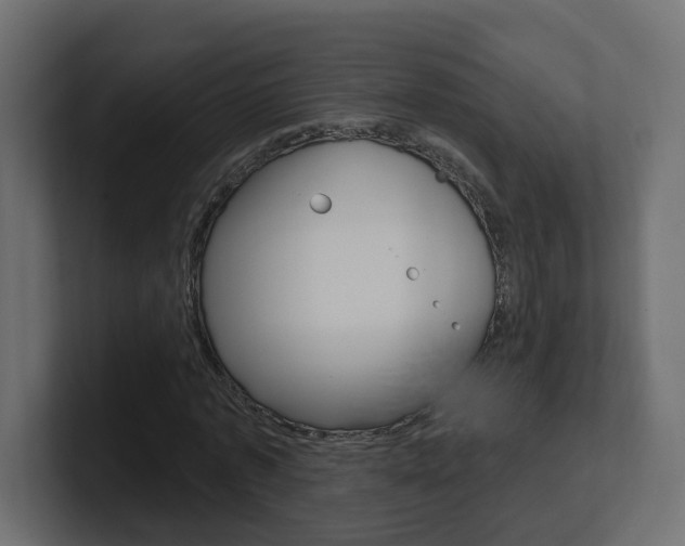 X0000101230773200806270945
