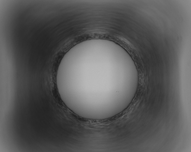 X0000101230774200806270945