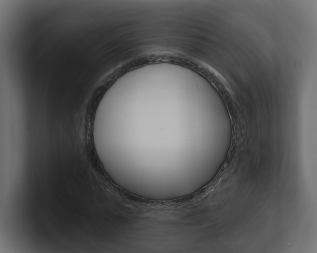 X0000101230775200806270945