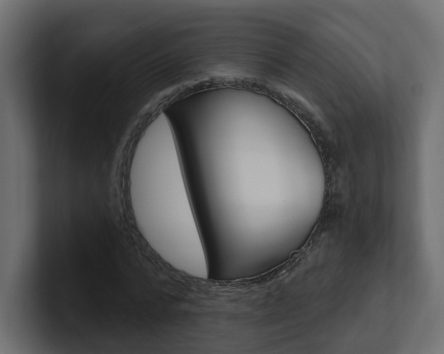 X0000101230776200806270945