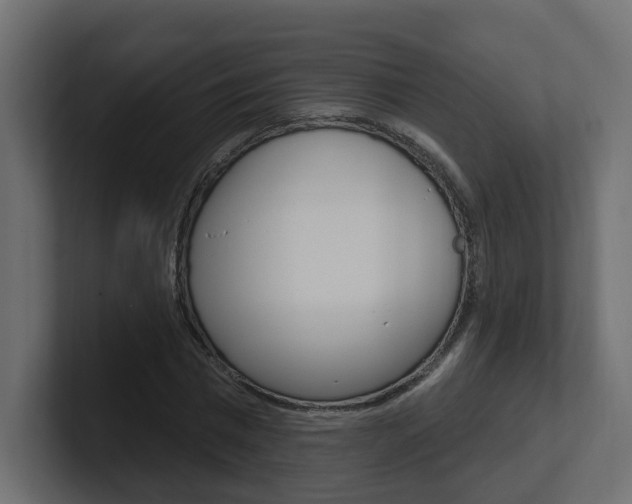 X0000101230777200806270944