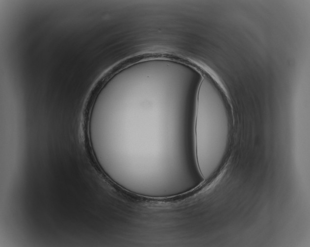 X0000101230783200806270944