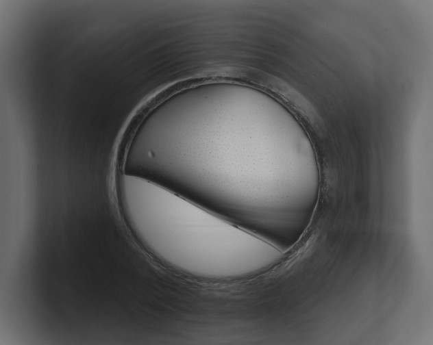 X0000101230784200806270944