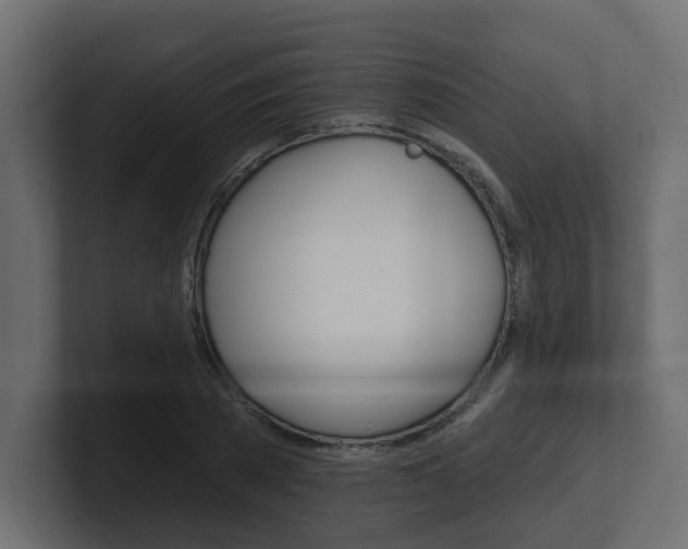 X0000101230785200806270944