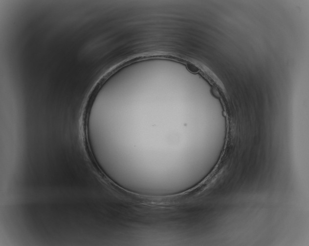 X0000101230789200806270944