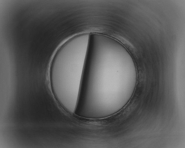 X0000101230792200806270944