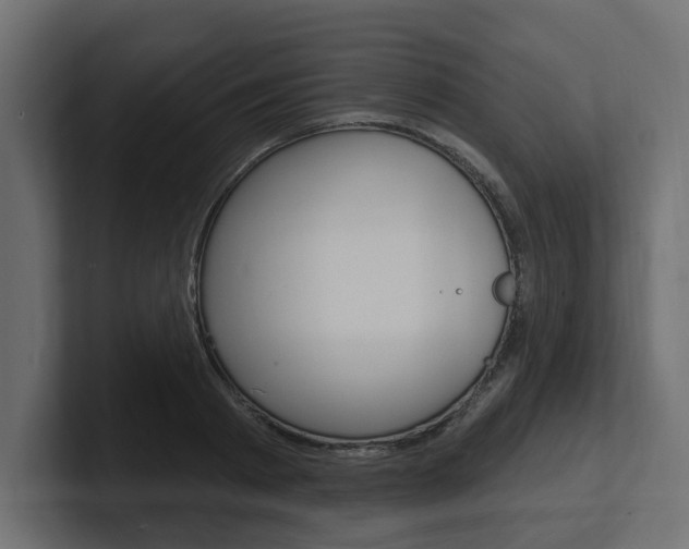 X0000101230793200806270944
