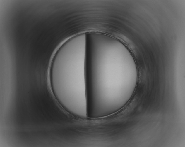 X0000101230796200806270944