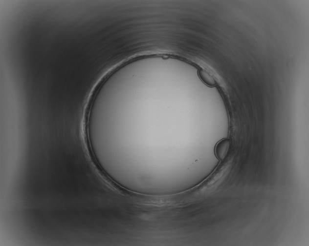 X0000101230797200806270944