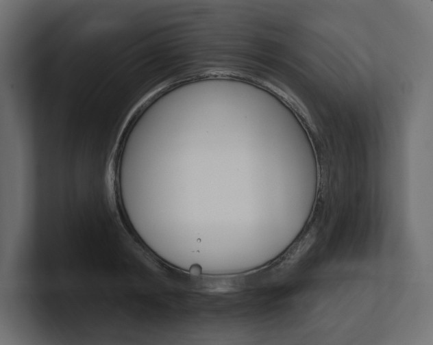 X0000101230798200806270944