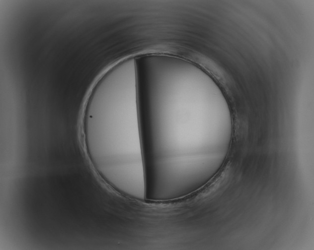 X0000101230800200806270944