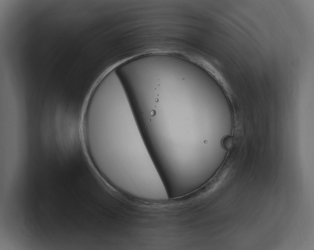 X0000101230803200806270944