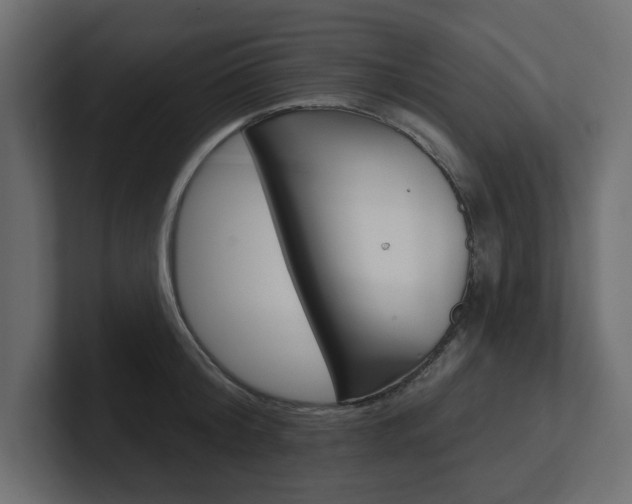 X0000101230804200806270944