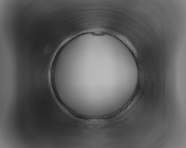 X0000101230805200806270944