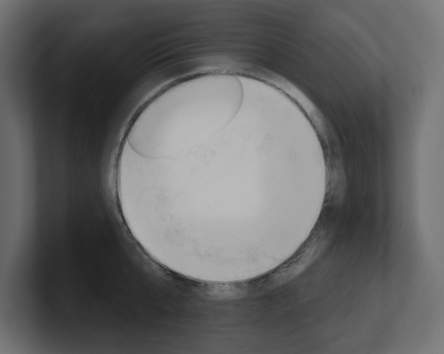 X0000101230807200806270944