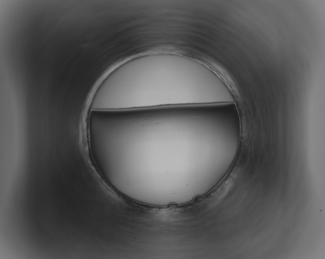X0000101230808200806270944