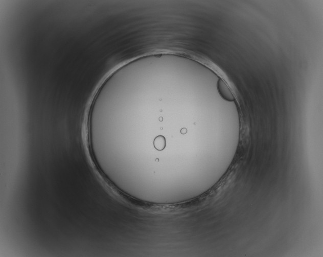 X0000101230811200806270944
