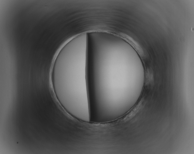 X0000101230812200806270944