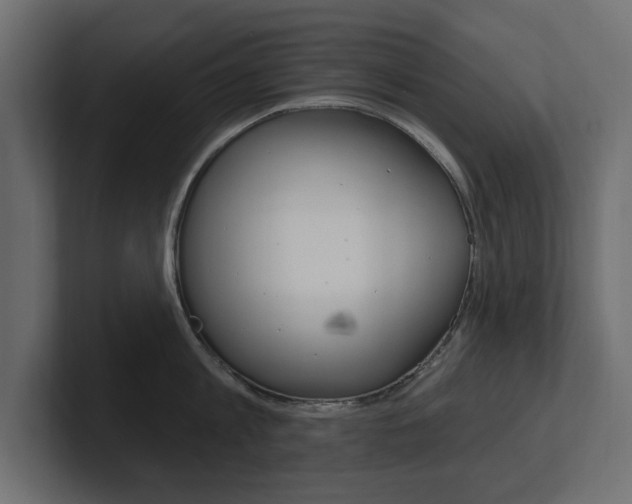 X0000101230813200806270944