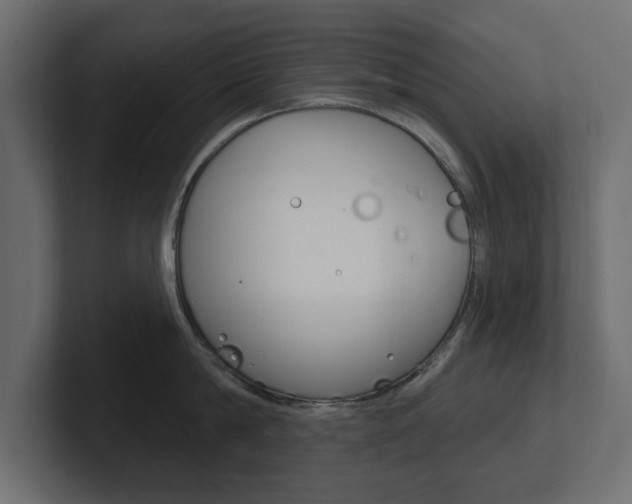 X0000101230814200806270944
