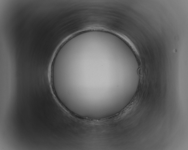 X0000101230815200806270944