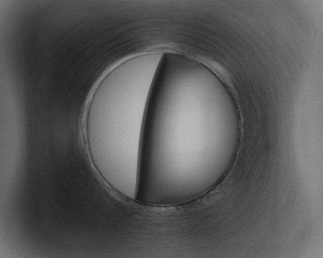 X0000101230816200806270944