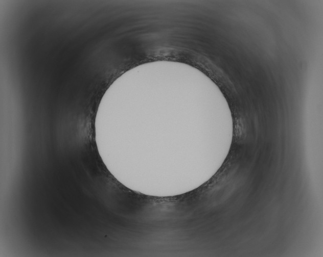 X0000101230820200806270943