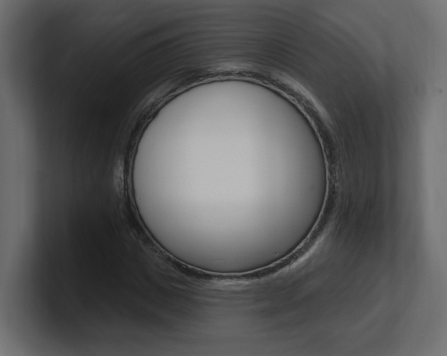 X0000101230825200806270943